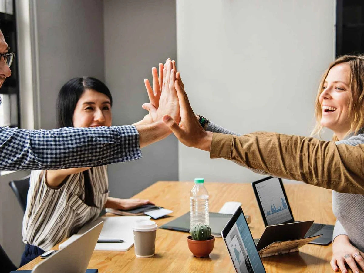 Developing High Performance Teams